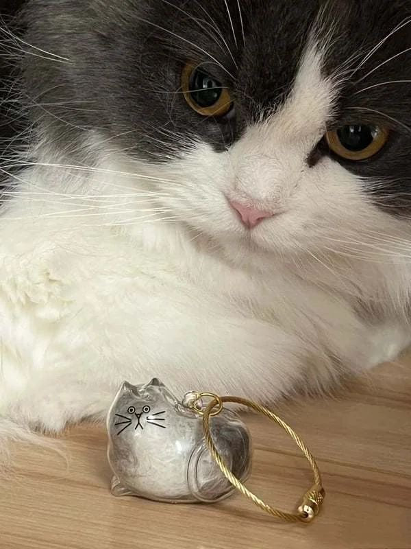 Cat hair memorial keychains